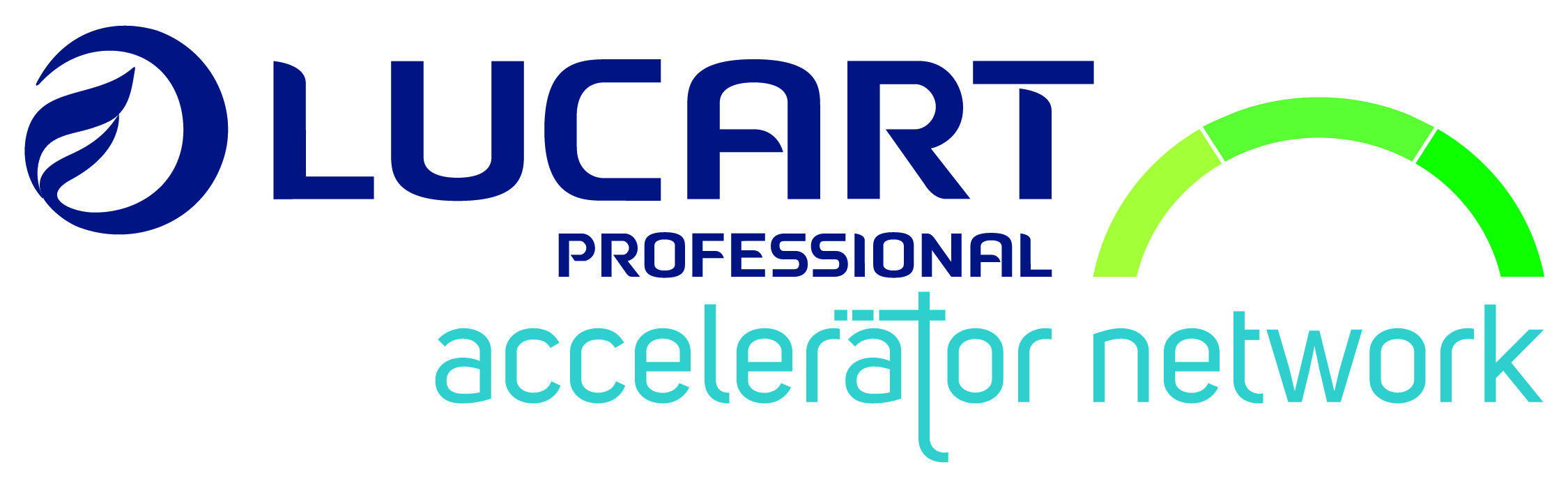 Lucart Professional